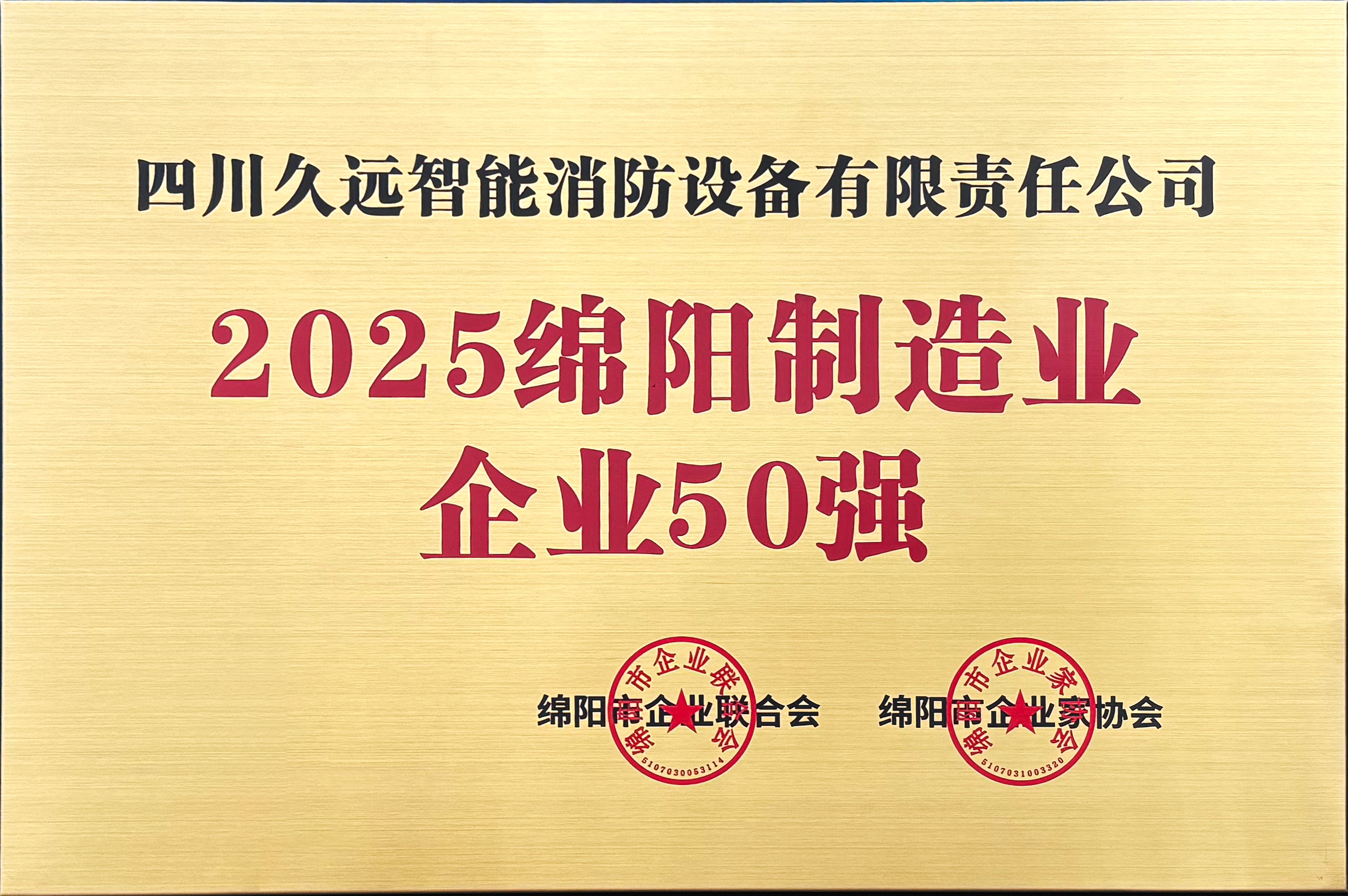 2025年綿陽市制造業(yè)企業(yè)50強(qiáng)