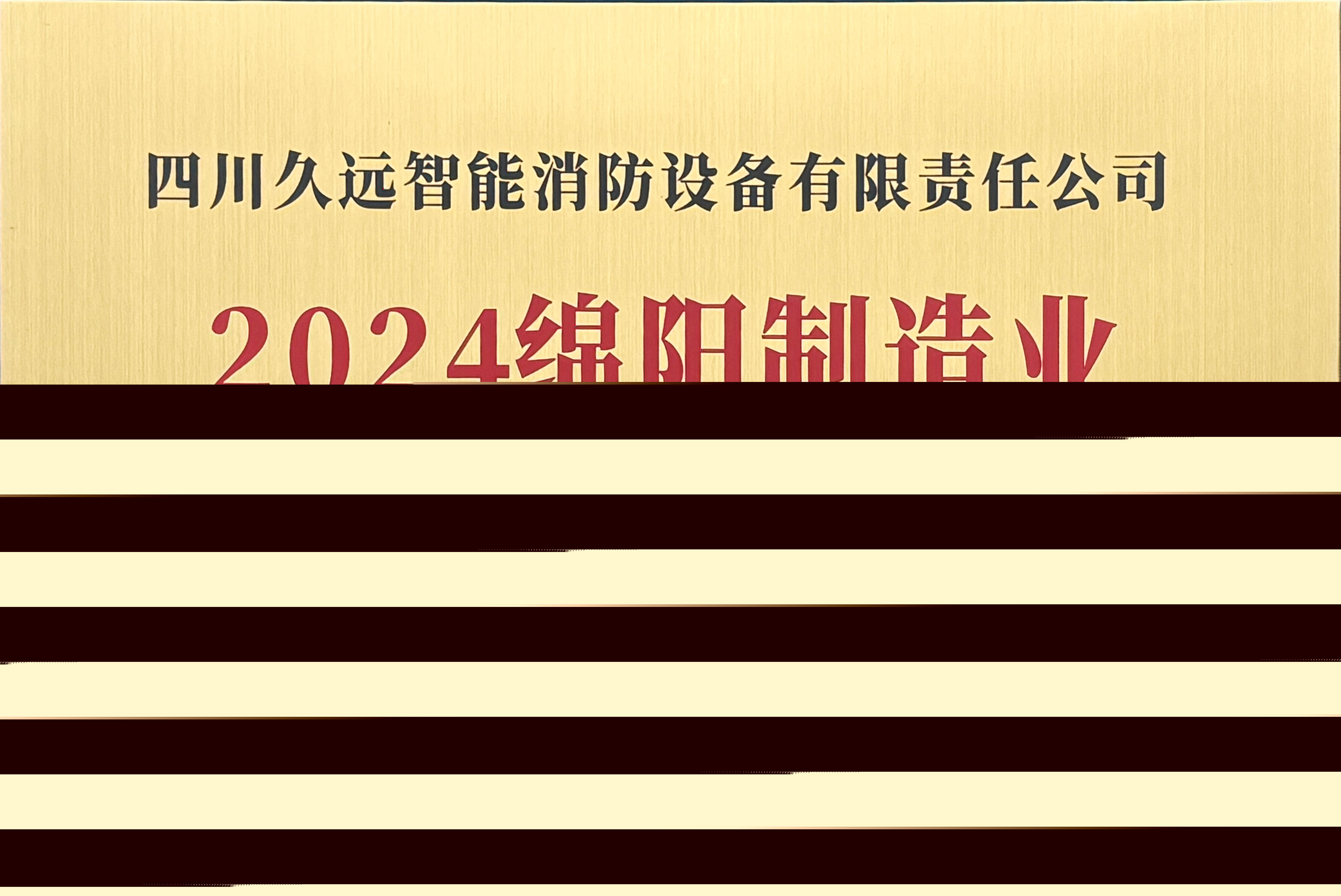 綿陽制造業(yè)企業(yè)50強(qiáng)