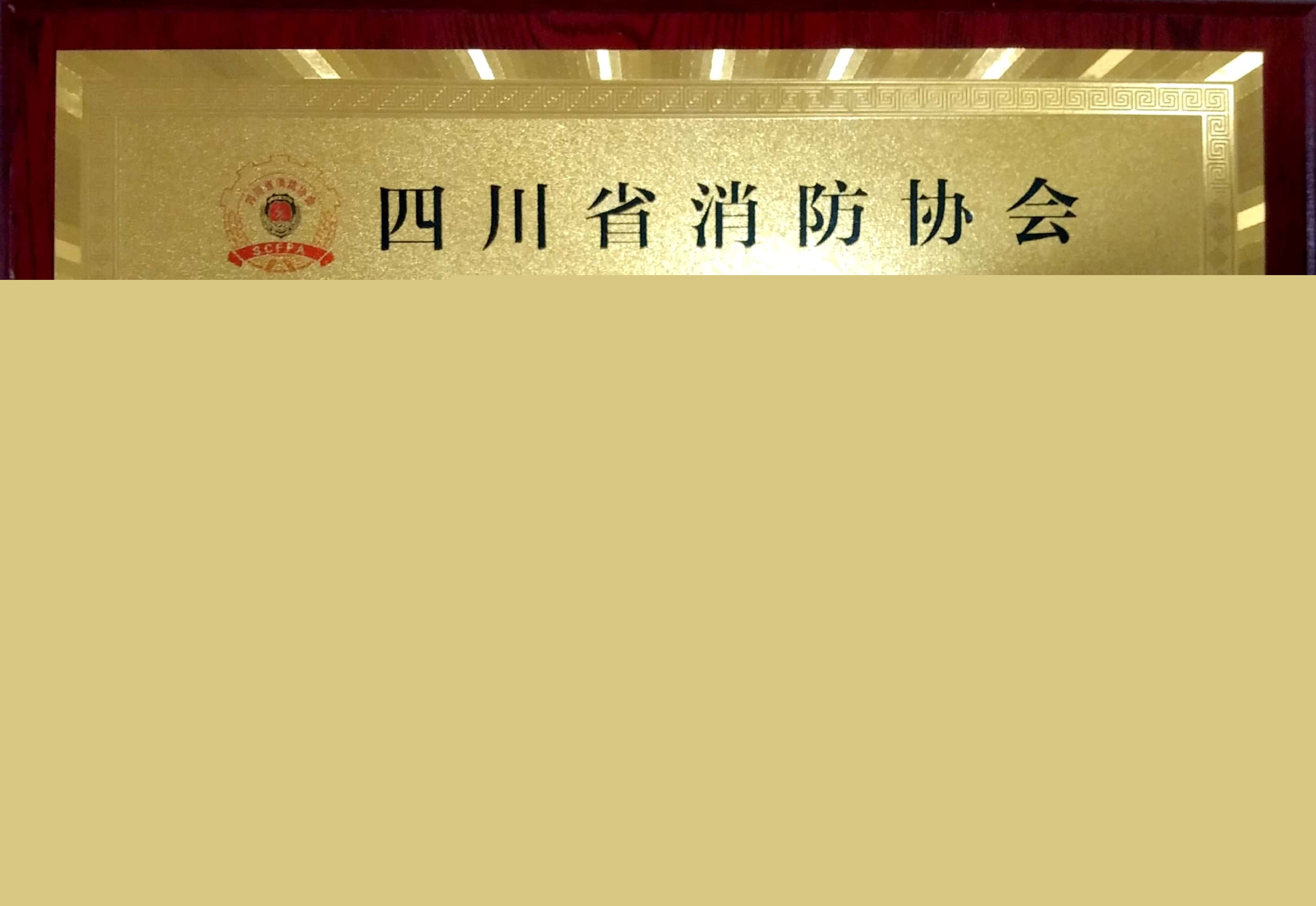19年年度消防理事協(xié)會