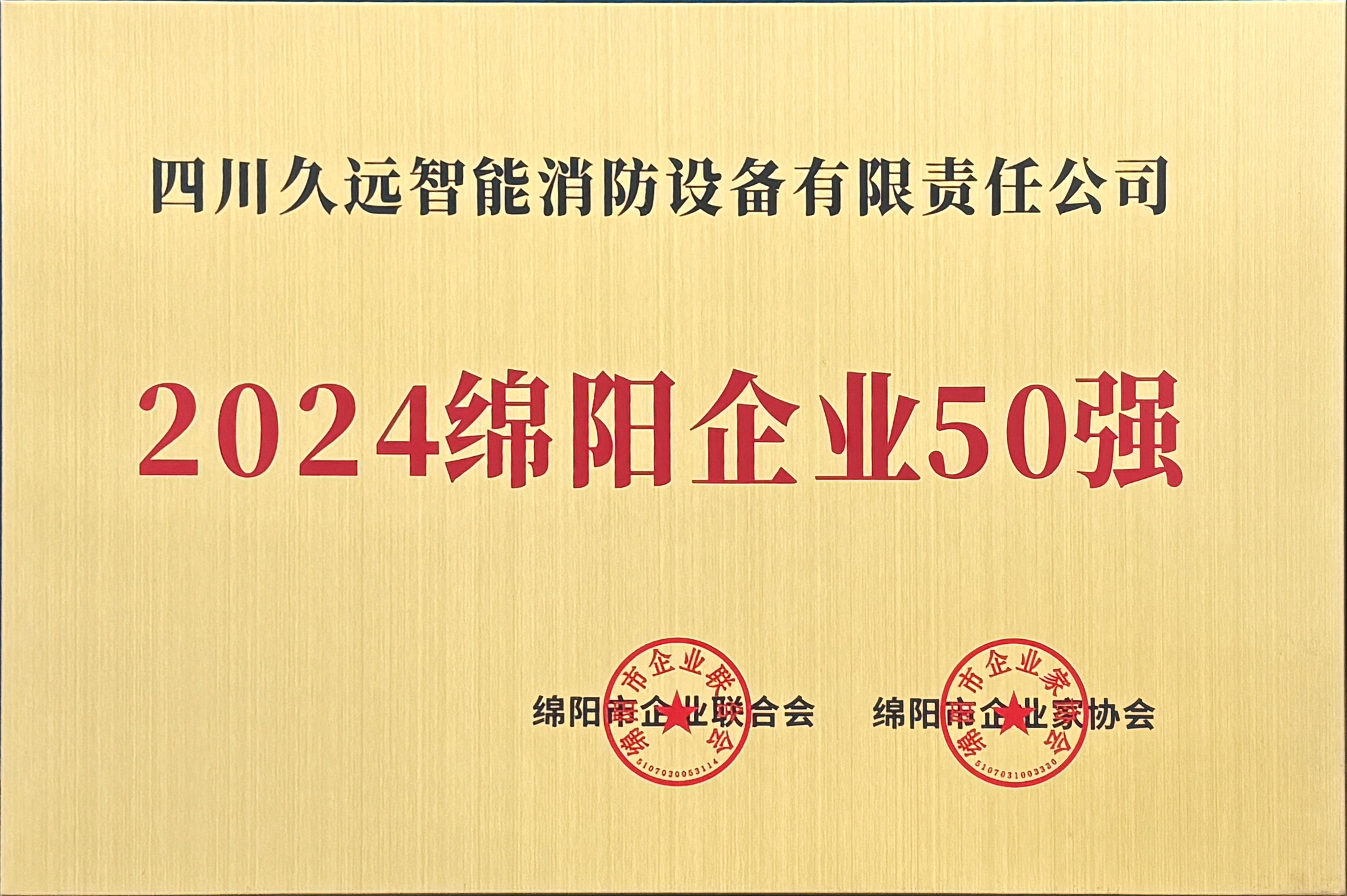 2024綿陽企業(yè)50強(qiáng)
